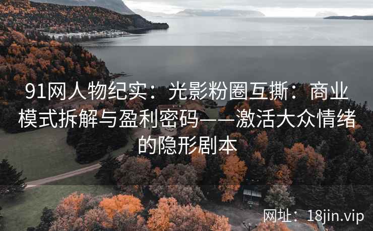 91网人物纪实：光影粉圈互撕：商业模式拆解与盈利密码——激活大众情绪的隐形剧本
