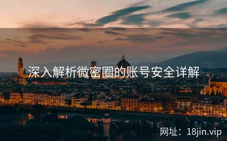 深入解析微密圈的账号安全详解