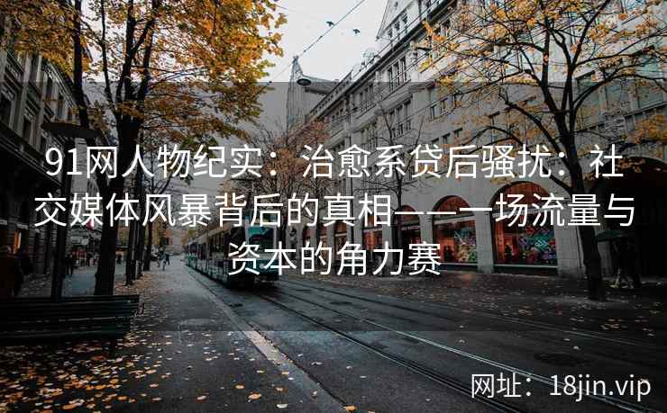 91网人物纪实：治愈系贷后骚扰：社交媒体风暴背后的真相——一场流量与资本的角力赛