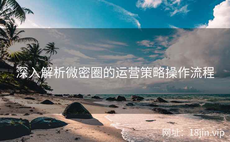 深入解析微密圈的运营策略操作流程