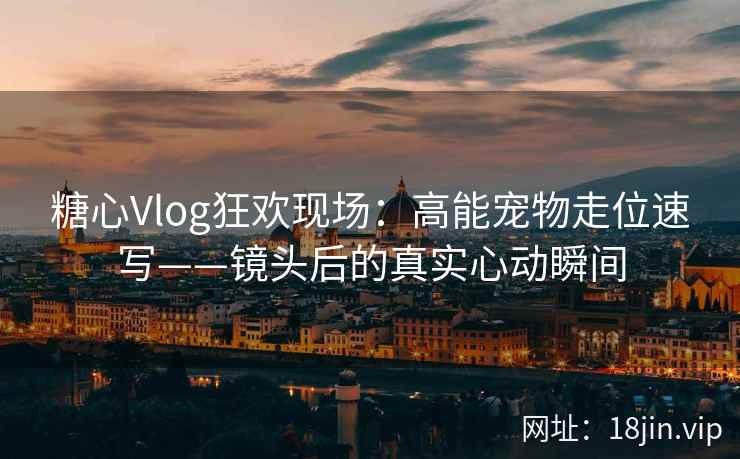 糖心Vlog狂欢现场：高能宠物走位速写——镜头后的真实心动瞬间